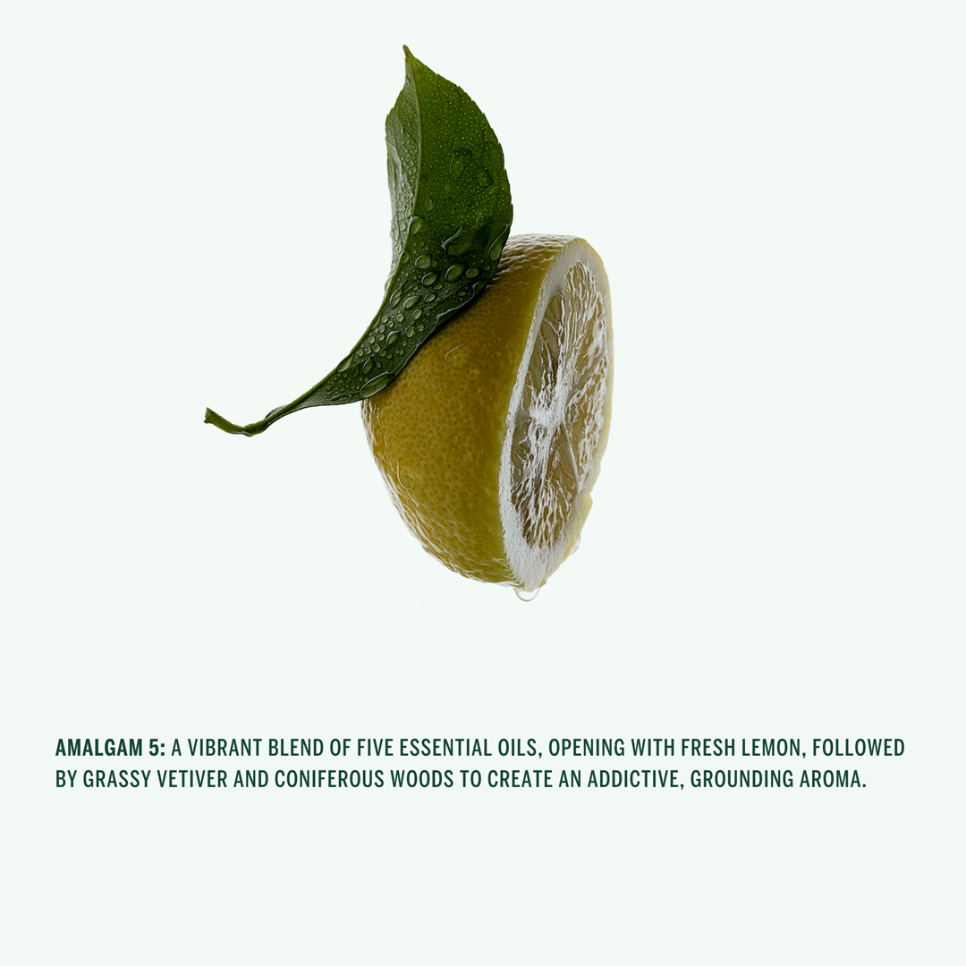 HAND WASH: Amalgam 5 - Lemon, Cypress, Bergamot, Vetiver